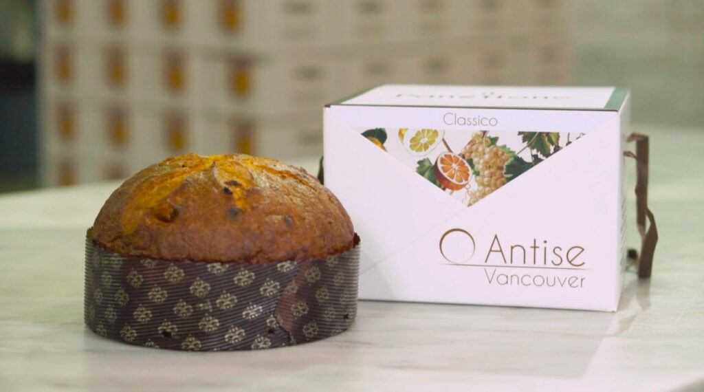 antise vancouver panettone with box