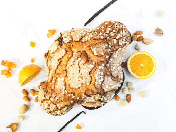 Orange and Almonds Colomba